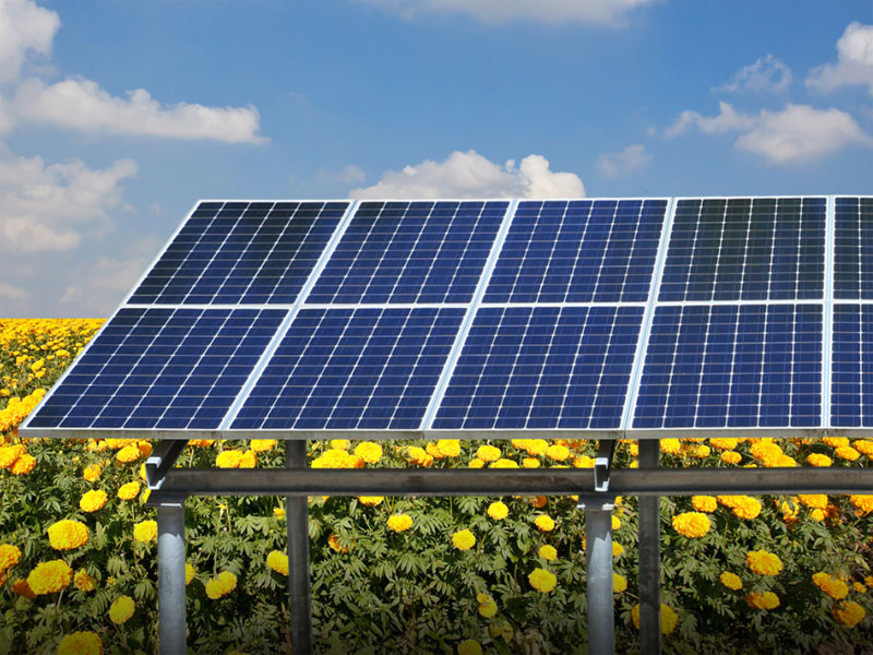 Europa: Die Photovoltaik-Landwirtschaft ist zu einem wichtigen Entwicklungstrend der Zukunft geworden