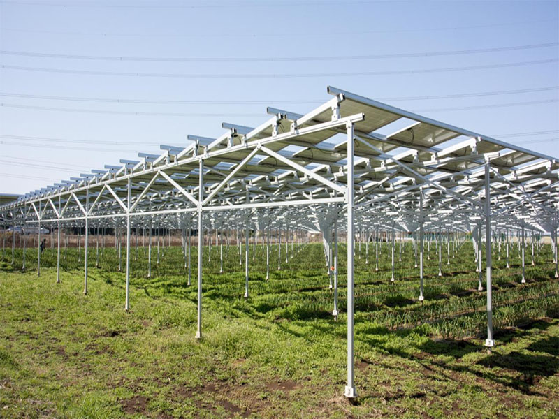 Deutschland erforscht die Entwicklung der landwirtschaftlichen Photovoltaik